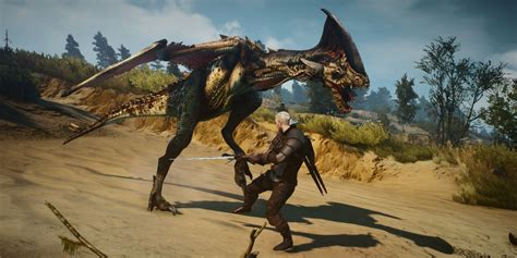 dragons in witcher 3|The Witcher 3: Every Kind of Draconid In The Game .